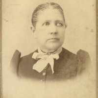 Sophina Alcesta Fuller (1843 - 1930) Profile